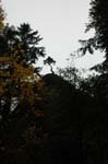 2008_10_30_Mult_Falls_12mi_0149