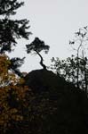 2008_10_30_Mult_Falls_12mi_0150