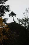 2008_10_30_Mult_Falls_12mi_0151