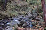2008_10_30_Mult_Falls_12mi_0152