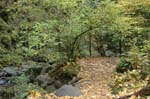 2008_10_30_Mult_Falls_12mi_0155