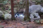 2008_10_30_Mult_Falls_12mi_0156