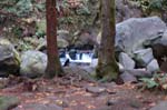 2008_10_30_Mult_Falls_12mi_0157