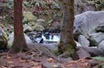 2008_10_30_Mult_Falls_12mi_0158