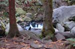 2008_10_30_Mult_Falls_12mi_0159