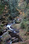 2008_10_30_Mult_Falls_12mi_0167