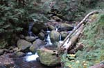 2008_10_30_Mult_Falls_12mi_0168