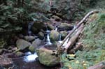 2008_10_30_Mult_Falls_12mi_0169