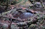 2008_10_30_Mult_Falls_12mi_0171