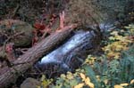 2008_10_30_Mult_Falls_12mi_0173