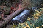 2008_10_30_Mult_Falls_12mi_0174