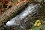 2008_10_30_Mult_Falls_12mi_0175