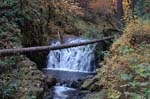 2008_10_30_Mult_Falls_12mi_0176