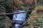 2008_10_30_Mult_Falls_12mi_0177