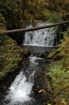 2008_10_30_Mult_Falls_12mi_0178