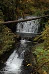 2008_10_30_Mult_Falls_12mi_0179
