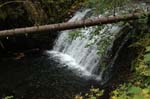 2008_10_30_Mult_Falls_12mi_0180