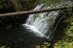 2008_10_30_Mult_Falls_12mi_0181
