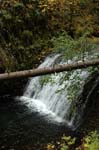2008_10_30_Mult_Falls_12mi_0182