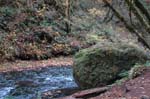 2008_10_30_Mult_Falls_12mi_0183