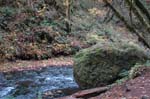 2008_10_30_Mult_Falls_12mi_0184