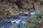 2008_10_30_Mult_Falls_12mi_0187