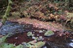 2008_10_30_Mult_Falls_12mi_0188