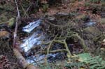 2008_10_30_Mult_Falls_12mi_0190