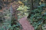 2008_10_30_Mult_Falls_12mi_0191