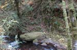 2008_10_30_Mult_Falls_12mi_0192
