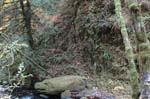2008_10_30_Mult_Falls_12mi_0193