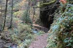 2008_10_30_Mult_Falls_12mi_0195