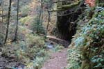 2008_10_30_Mult_Falls_12mi_0196