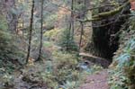 2008_10_30_Mult_Falls_12mi_0197