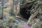 2008_10_30_Mult_Falls_12mi_0198