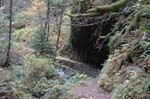 2008_10_30_Mult_Falls_12mi_0199