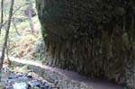 2008_10_30_Mult_Falls_12mi_0200