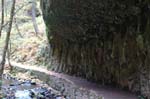 2008_10_30_Mult_Falls_12mi_0201