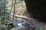 2008_10_30_Mult_Falls_12mi_0202