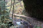 2008_10_30_Mult_Falls_12mi_0203