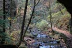 2008_10_30_Mult_Falls_12mi_0204