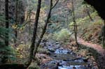 2008_10_30_Mult_Falls_12mi_0205
