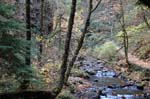 2008_10_30_Mult_Falls_12mi_0206