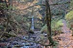 2008_10_30_Mult_Falls_12mi_0209
