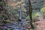 2008_10_30_Mult_Falls_12mi_0210