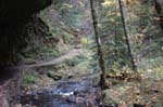 2008_10_30_Mult_Falls_12mi_0211