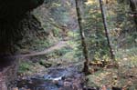 2008_10_30_Mult_Falls_12mi_0212