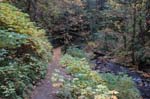 2008_10_30_Mult_Falls_12mi_0222