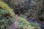 2008_10_30_Mult_Falls_12mi_0223