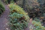 2008_10_30_Mult_Falls_12mi_0224